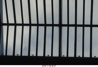 Bell Labs Bellworks Holmdel  - roof /ceiling with birds