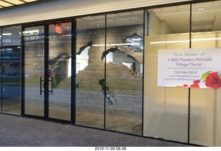 back of my house repairs