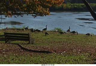 East River Drive (Kelly Drive) walk