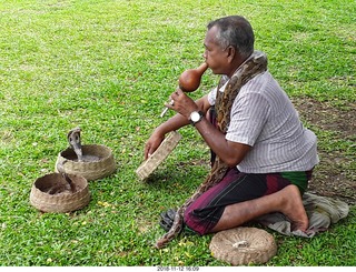 David Marcus picture of a snake charmer