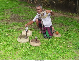 David Marcus picture of a snake charmer