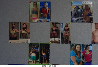 cat picture (not feline)