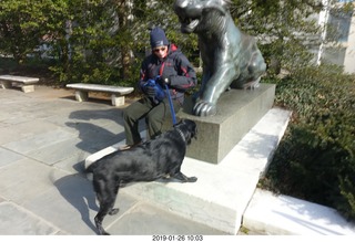 Princeton University - tiger