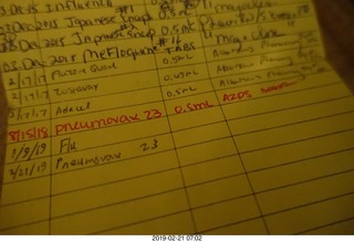 yellow card with two pneumonia shots