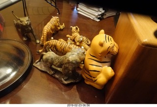 Princeton University - Sandy Student, dog, and tiger