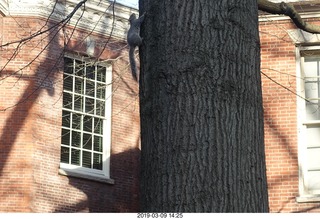 Cheltenham High School
