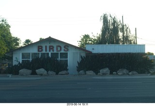 store building - BIRDS