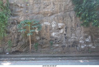 Rio de Janeiro tour - petroglyphs from twentieth century maybe