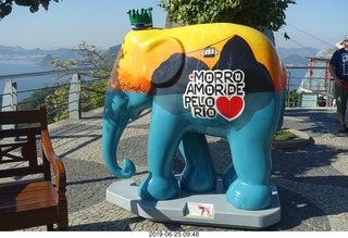 145 a0e. - Rio de Janeiro tour - Sugarloaf Mountain * - ELEPHANT