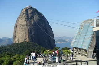 - Rio de Janeiro tour - Sugarloaf Mountain * - lizard