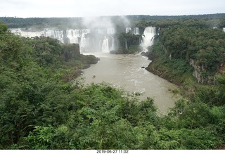 Iguazu Falls - deer