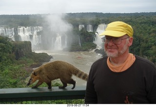 117 a0e. Iguazu Falls - anteater-racoon-cat coati + Adam