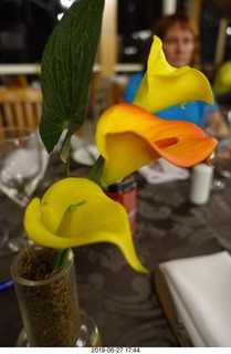 Recanto Cataratas Hotel - restaurant - flowers