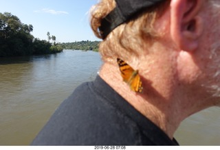 89 a0e. Iguazu Falls - Devil's Throat - butterfly on my neck