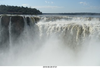 Iguazu Falls - Devil's Throat - coati