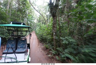 317 a0e. Iguazu Falls drive to boat