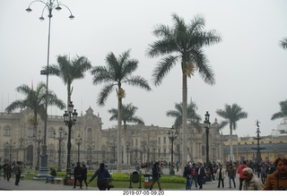 273 a0f. Peru - Lima tour - palm trees