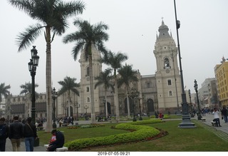 274 a0f. Peru - Lima tour - palm trees