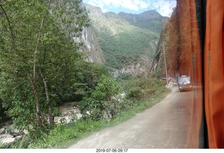 Peru - walk to bus - giant prehistoric leaves