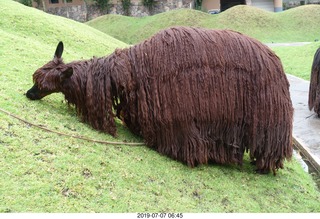 42 a0f. Peru - Aranwa Sacred Valley hotel - dreadlock animal