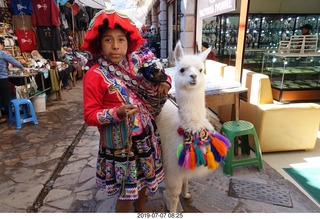 91 a0f. Peru - drive to cusco - market - llama