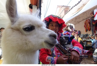 116 a0f. Peru - drive to cusco - market - llama