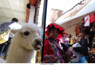 123 a0f. Peru - drive to cusco - market - llama + Adam