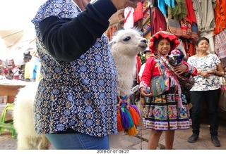127 a0f. Peru - drive to cusco - market - llama