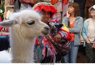 129 a0f. Peru - drive to cusco - market - llama