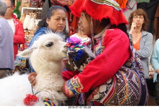 Peru - drive to cusco - market - llama - up close