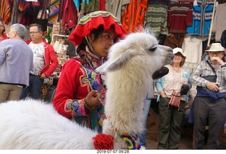 Peru - drive to cusco - market - llama - up really close