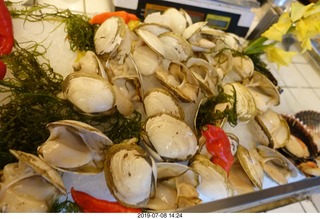 173 a0f. Peru - Lima - Alfresco restaurant - clams