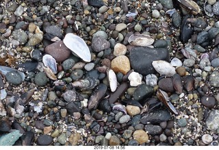 223 a0f. Peru - Lima - Pacific Ocean beach shells and stones