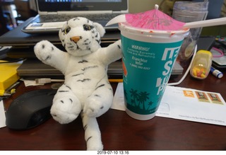 jerome bought me a tiger and snow cone