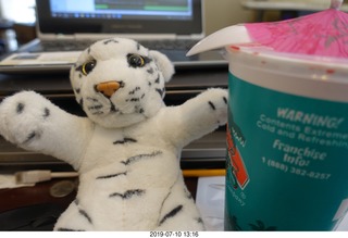 24 a0f. jerome bought me a tiger and snow cone