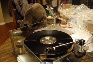 107 a0g. Transcriptor Skeleton turntable with Vestigal tonearm