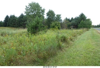 Minnesota - Afton run