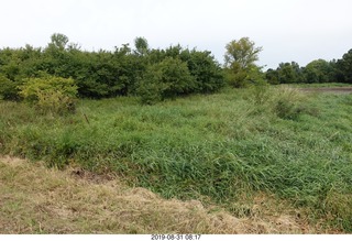 Minnesota - Afton run