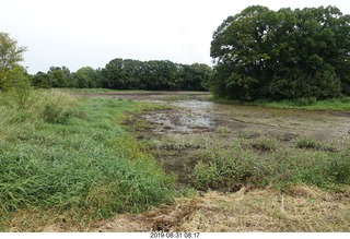 Minnesota - Afton run - power lines