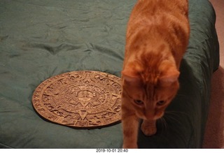 667 a0j. my cat Max and my bronze Aztec calendar