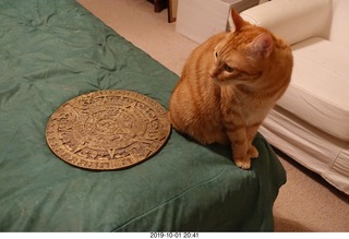 673 a0j. my cat Max and my bronze Aztec calendar