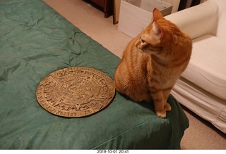 675 a0j. my cat Max and my bronze Aztec calendar