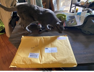 calendar package + my cat Devin