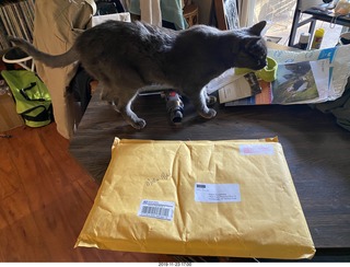 calendar package + my cat Devin