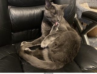 airline flights from Rio de Janeiro to Iguazu - cool actors in costumes