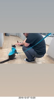 Ricky and Dr. Krista Gibson giving my kitten a shot