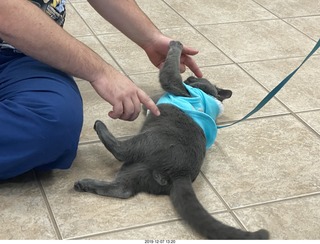 Kierland Animal Clinic - Krista Gibson - open house