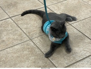 my vet Dr. Krista Gibson and her new Corvette