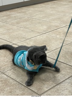 my vet Dr. Krista Gibson and her new Corvette