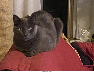 airline flights from Rio de Janeiro to Iguazu - cool actors in costumes